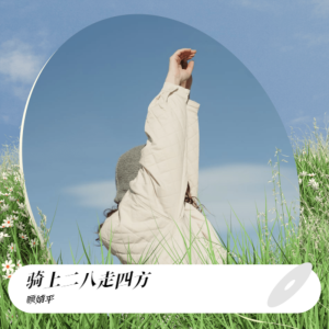 顧婧平的專輯騎上二八走四方（DJ默涵版）