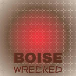 Various Artists的專輯Boise Wrecked