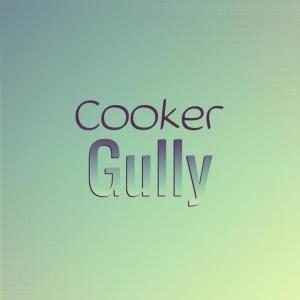 Cooker Gully dari Various