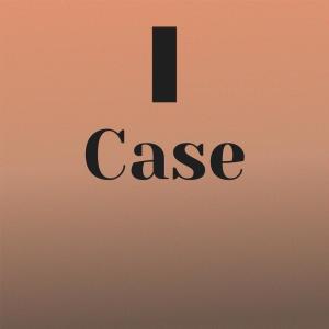 Various Artists的專輯I Case