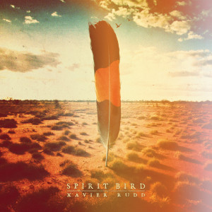ดาวน์โหลดและฟังเพลง Follow The Sun พร้อมเนื้อเพลงจาก Xavier Rudd