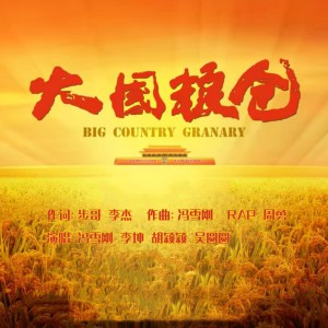 Listen to 大国粮仓 (伴奏) song with lyrics from 冯雪刚