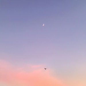 ดาวน์โหลดและฟังเพลง little bird พร้อมเนื้อเพลงจาก Bcalm