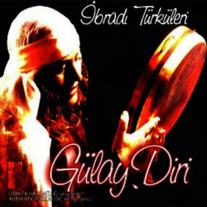 收聽Gülay Diri的Çöğre Ağacı歌詞歌曲