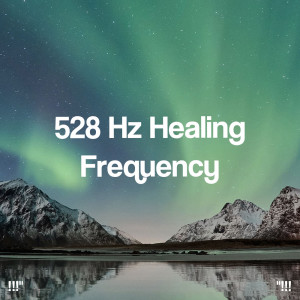 Album "!!! 528 Hz Healing Frequency !!!" oleh Study Alpha Waves