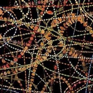 收聽The Magnetic Fields的I Thought You Were My Boyfriend (Dub Mix)歌詞歌曲