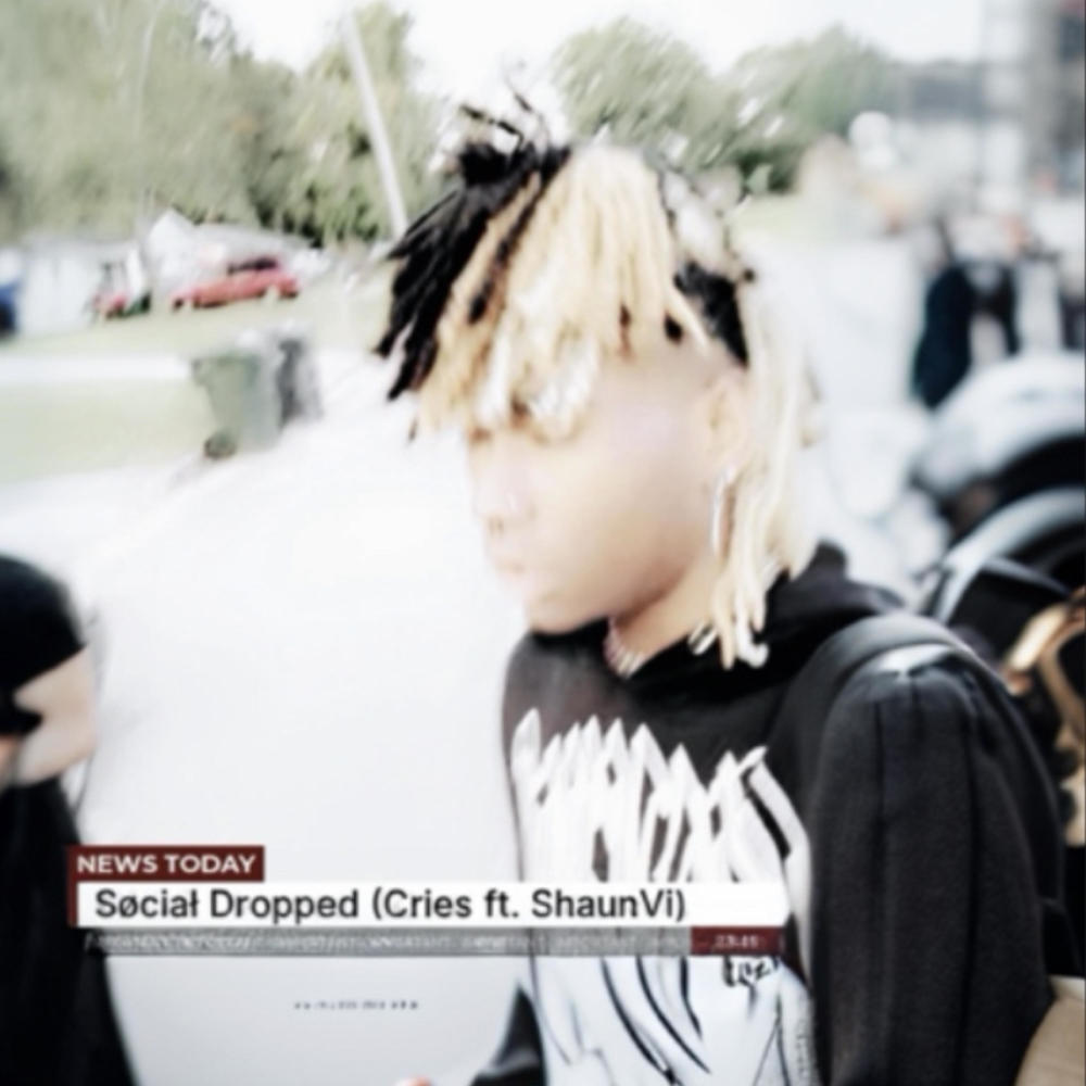 Cries (feat. Shaun Vi)