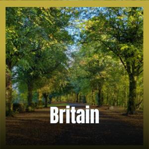 Album Britain from Various