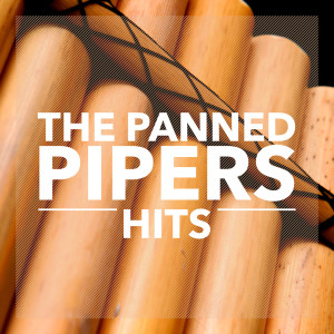 Dengarkan Welcome My Friend (Instrumental) lagu dari The Panned Pipers dengan lirik