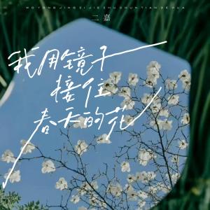 Listen to 用镜子接住春天的花 song with lyrics from 二嘉