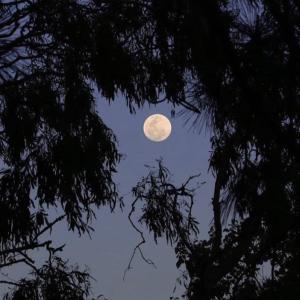 收聽promnight的cold hands  (Explicit)歌詞歌曲