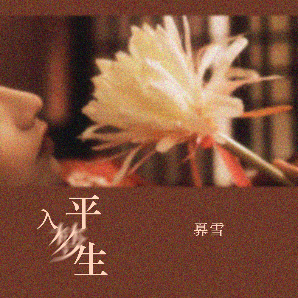 入梦平生 (DJ名龙版伴奏)