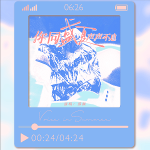 Album 你同盛夏声声不息（2025赵成晨生贺曲） from 