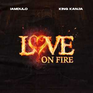 Love On Fire (Explicit)
