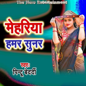 Listen to Mehariya Hamar Sunar song with lyrics from Pintu Bedardi