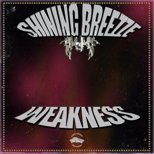Pink Shine Records的專輯WEAKNESS (Explicit)