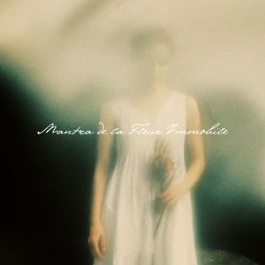 Zen Méditation Ambiance的专辑Mantra de la Fleur Immobile