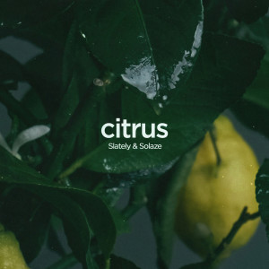 Listen to Citrus song with lyrics from Slately