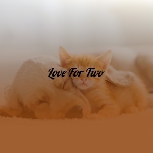 Listen to Sadie Lee song with lyrics from Tal Carter