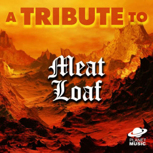 ดาวน์โหลดและฟังเพลง I'd Do Anything for Love (But I Won't Do That) พร้อมเนื้อเพลงจาก The Hit Co.
