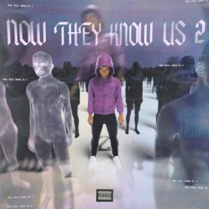收聽Devstacks的Why You Lying (Explicit)歌詞歌曲