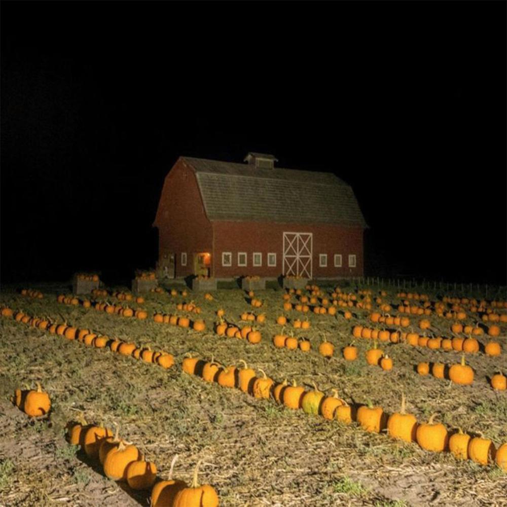 PUMPKINS (Explicit)