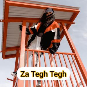 收聽Asoli的Za Tegh Tegh (Explicit)歌詞歌曲