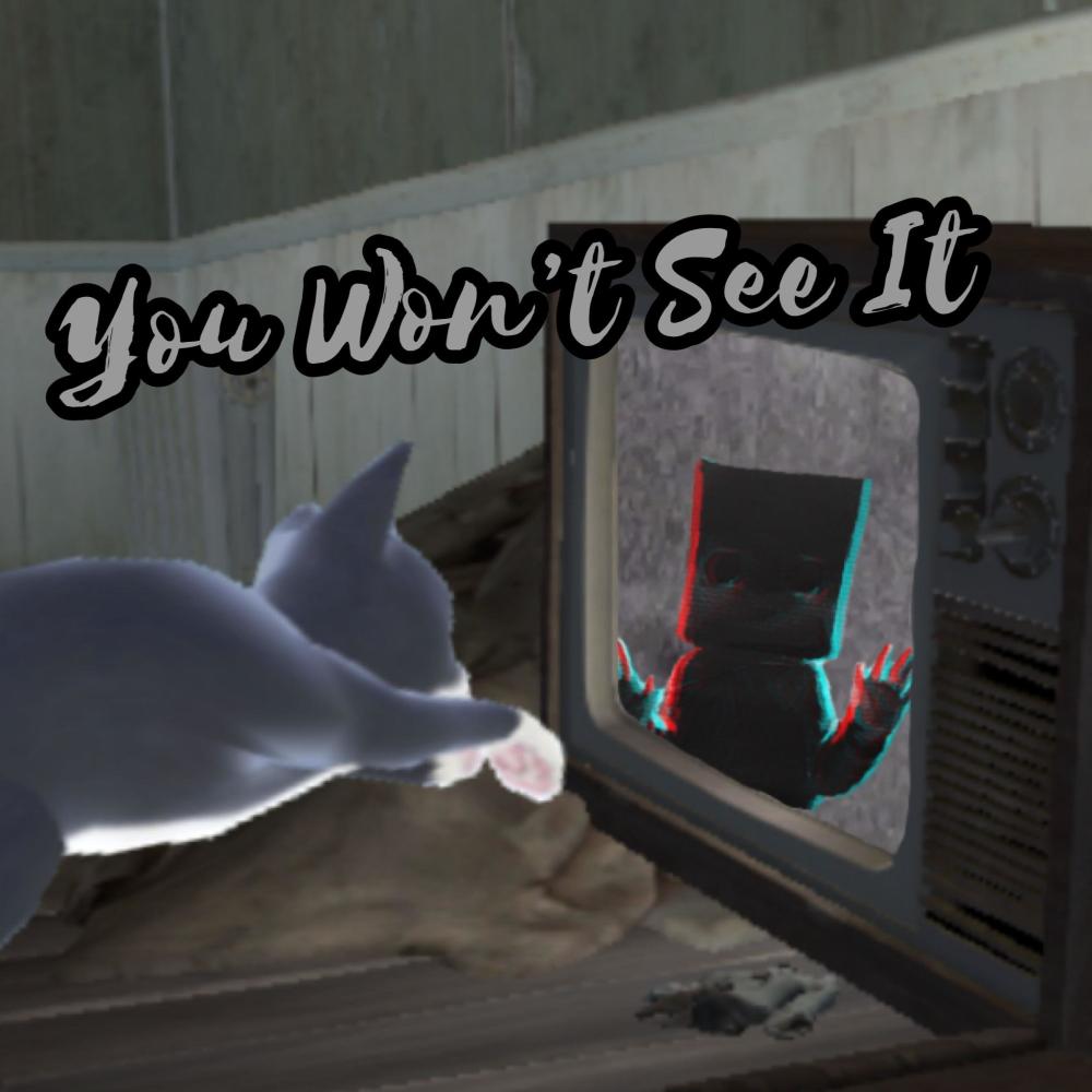 You Won't See It (Explicit)