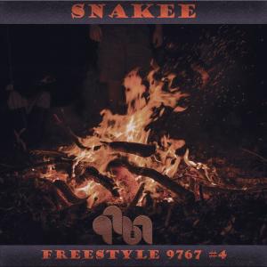 Dengarkan Freestyle 9767 #4 lagu dari SNAKEE dengan lirik