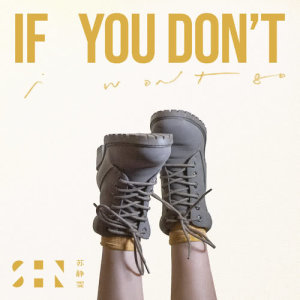 SHN的專輯If You Don't
