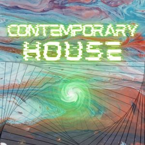 Listen to My Real Identity (Berlin's House Mix) song with lyrics from Troy Revelton
