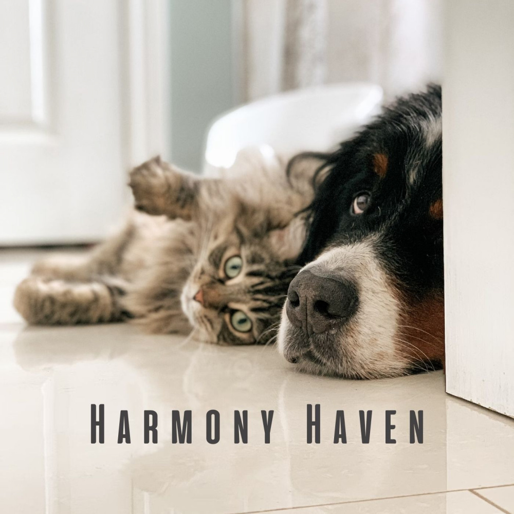Mindful Pet Harmony