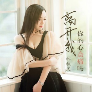Album 离开我你的心会痛吗 from 林秋风