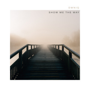 Dengarkan Show Me The Way lagu dari DMNIQ dengan lirik