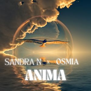 Listen to ANIMA song with lyrics from Sandra N.