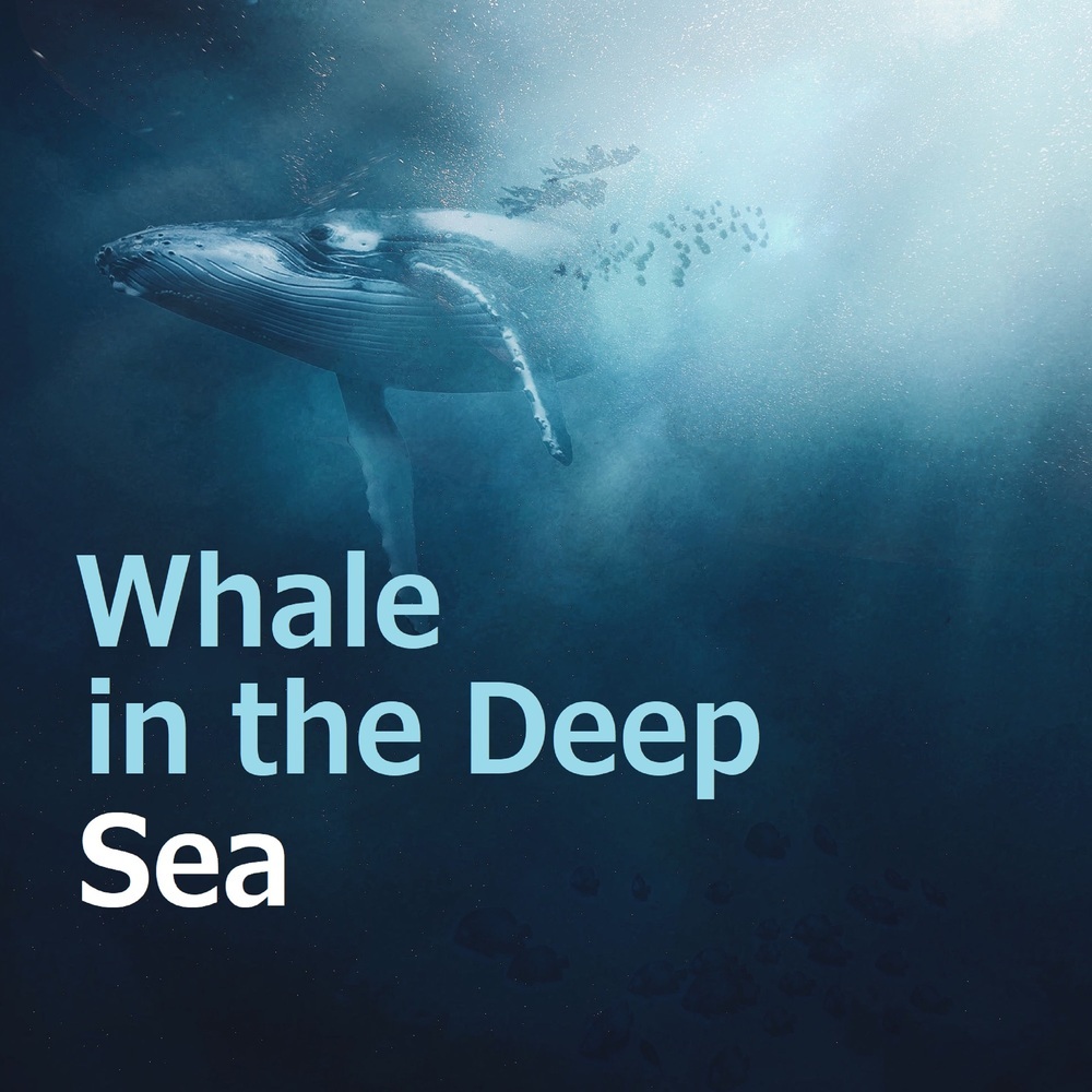 Whale in the Deep Sea