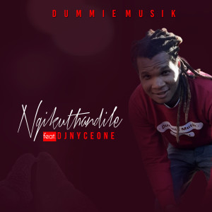 ดาวน์โหลดและฟังเพลง Ngikuthandile พร้อมเนื้อเพลงจาก Dummie Musik