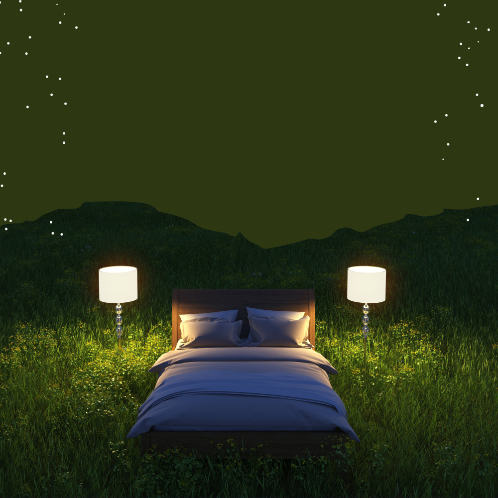 Music for Sleep Seashell Whispers