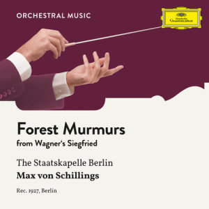 Max von Schillings的專輯Wagner: Siegfried: Forest Murmurs
