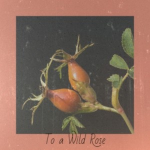 Album To a Wild Rose oleh Various