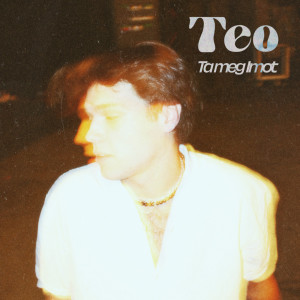 Album Ta meg Imot oleh Teo
