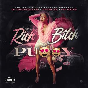 ดาวน์โหลดและฟังเพลง Rich Bitch Pussy (feat. 3d the Hook King, Richie Re & Jay Hayes) (Explicit) พร้อมเนื้อเพลงจาก DJ Katastraphy