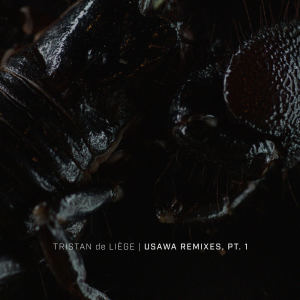 ดาวน์โหลดและฟังเพลง Soana (Koresma Remix) พร้อมเนื้อเพลงจาก Tristan de Liège