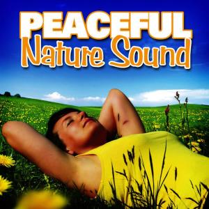 ดาวน์โหลดและฟังเพลง Colorful Rainforest Birds to Refresh and Relax You พร้อมเนื้อเพลงจาก Nature Sounds for Sleep and Relaxation
