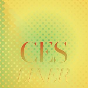 Various的专辑Ces Liner