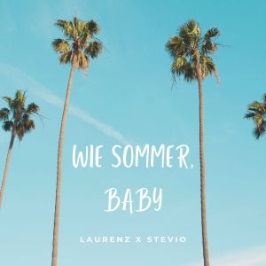 Album Wie Sommer, Baby oleh Stevio
