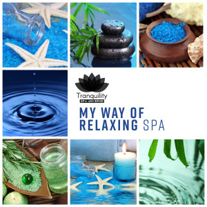 ดาวน์โหลดและฟังเพลง Bali Spa & Wellness พร้อมเนื้อเพลงจาก Tranquility Spa Universe