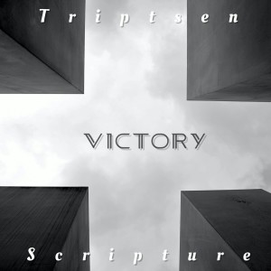 Triptsen的專輯Victory