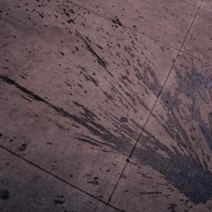 收聽Seventhirtyatmorning的courtship (Explicit)歌詞歌曲