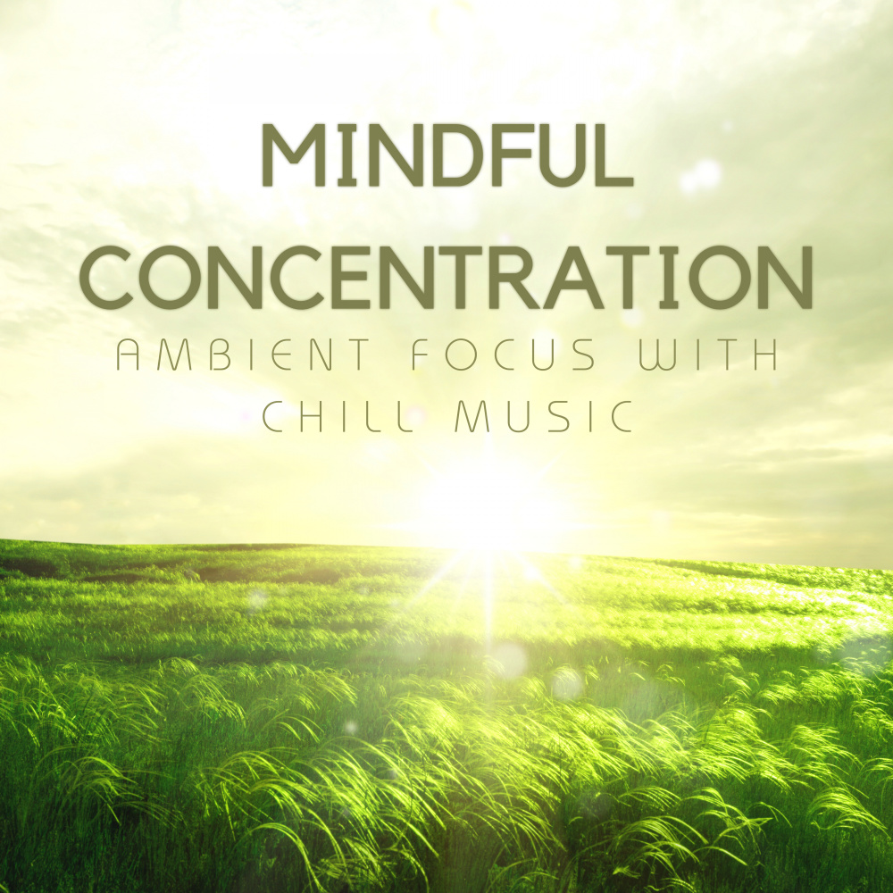 Tranquil Resonance for Focus